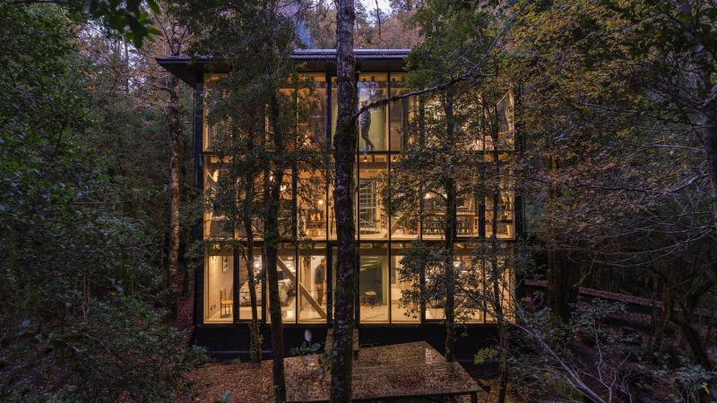 В чилийском лесу появился деревянный дом с сауной и видом на кроны деревьев