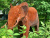 Скульптура Слон/Elephant