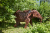 Скульптура Слон/Elephant
